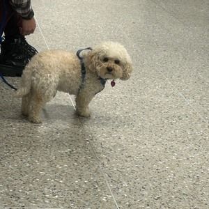 Meet your Posher, Bryanna